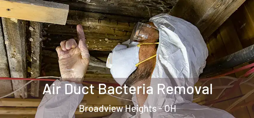 Air Duct Bacteria Removal Broadview Heights - OH