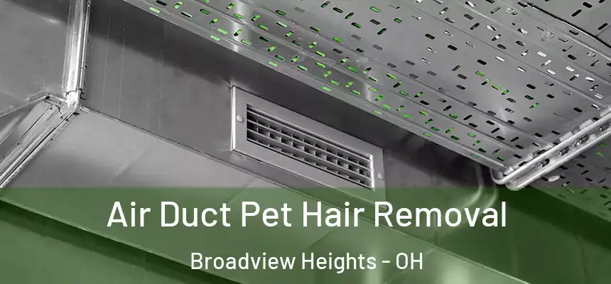 Air Duct Pet Hair Removal Broadview Heights - OH