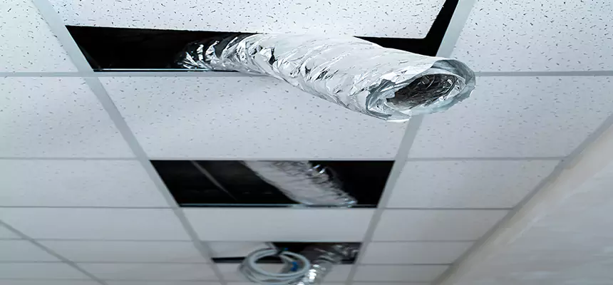 Our Air Duct Pet Hair Removal Services in Broadview Heights, OH