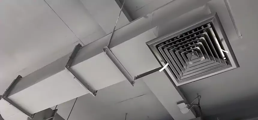 Our Pest Removal From Ducts Services in Broadview Heights, OH