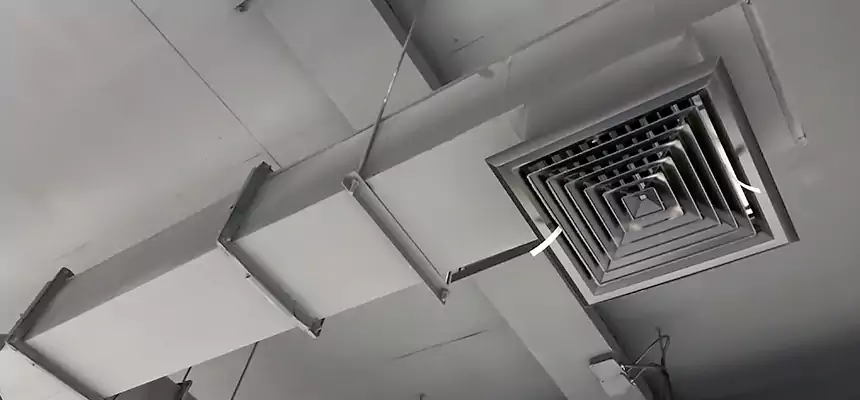 Our Rodent Droppings In Vents Services in Broadview Heights, OH