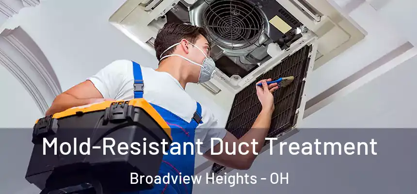  Mold-Resistant Duct Treatment Broadview Heights - OH
