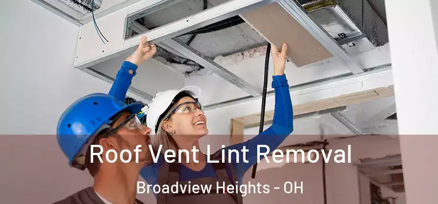 Roof Vent Lint Removal Broadview Heights - OH